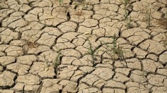 IRAQ-DROUGHT-FOOD-CLIMATE