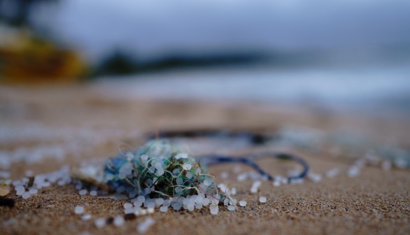 Microplastics found on seashores.