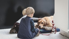 Top 4 Dog Breeds For Families With Young Children