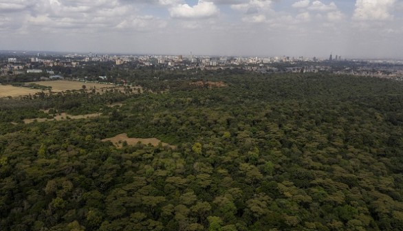 KENYA-CONSERVATION-FOREST