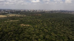 KENYA-CONSERVATION-FOREST