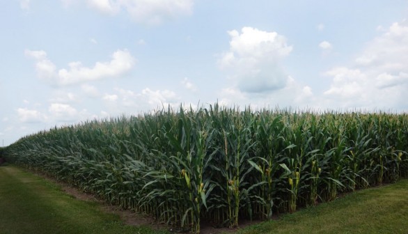 United States Corn Belt
