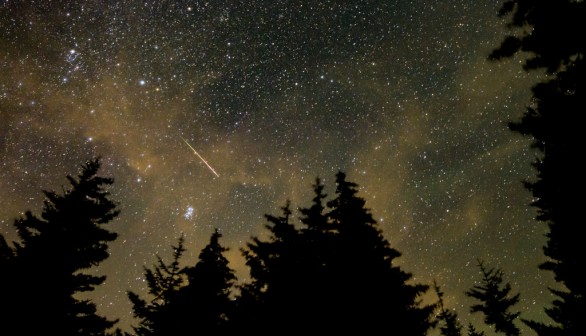 Perseid Meteor Shower