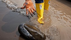 ECUADOR-ENVIRONMENT-OIL SPILL