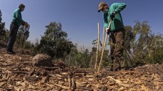 CHILE-ENVIRONMENT-WEATHER-WATER-EMERGENCY