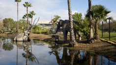 La Brea Tar Pits, Los Angeles