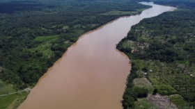 COLOMBIA-ENVIRONMENT-AMAZON-TURTLES