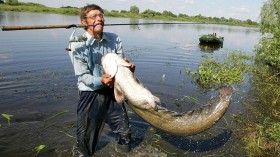 An angler struggles with a catfish