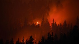 US wildfire