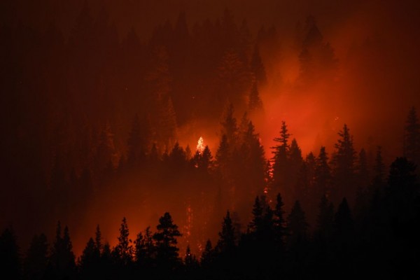 kebakaran hutan AS