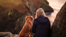 Stress Management Gene in Dogs make them 'Man's Best Friend' - Japanese Study Reveals