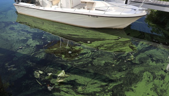 Algal Bloom Contaminates Only Drinking Water Supply in Pacific Crest Trail, California
