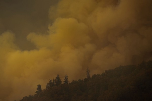 Western wildfires
