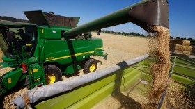 Grain Harvest Begins In Brandenburg State
