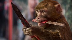 Monkey with knife