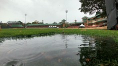 WNCL - NSW v QLD