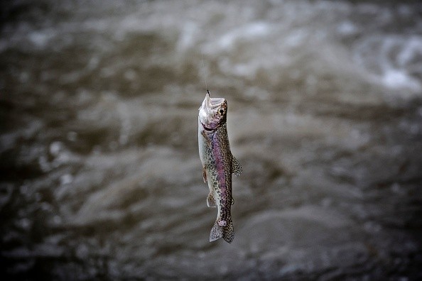 KENYA-LIFESTYLE-FISHING