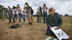 European Bee-Eaters Arrive In Norfolk And Attempt To Nest