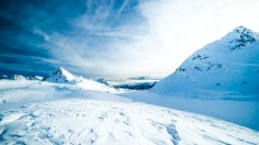 ground covered with snow