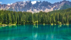 green grasses near body of water