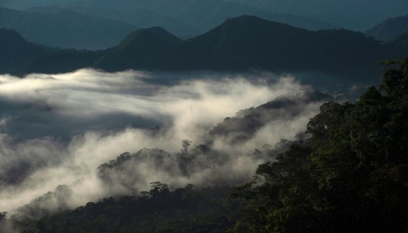 PERU-NATURE-WILDLIFE-ESCALERA