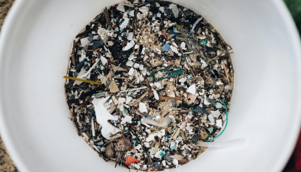 Microplastics Dominate Bodies of Most Fishes in South Africa River