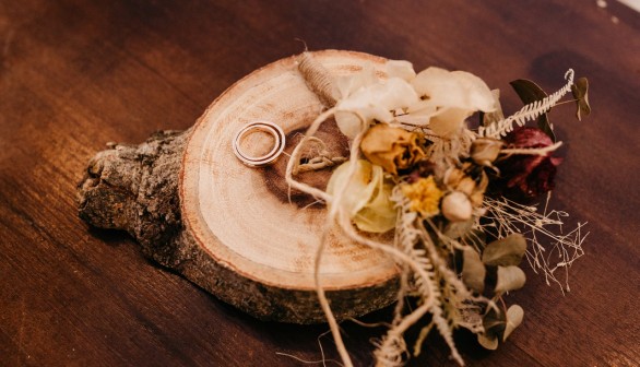 Zero-Waste Wedding Costs $3600, Eco-Friendly Couple Uses Leaf Confetti
