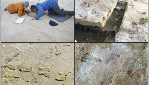 Ghost Tracks in Utah Desert Turn Out to Be Ancient Human Footprints Left by Ice Age Human