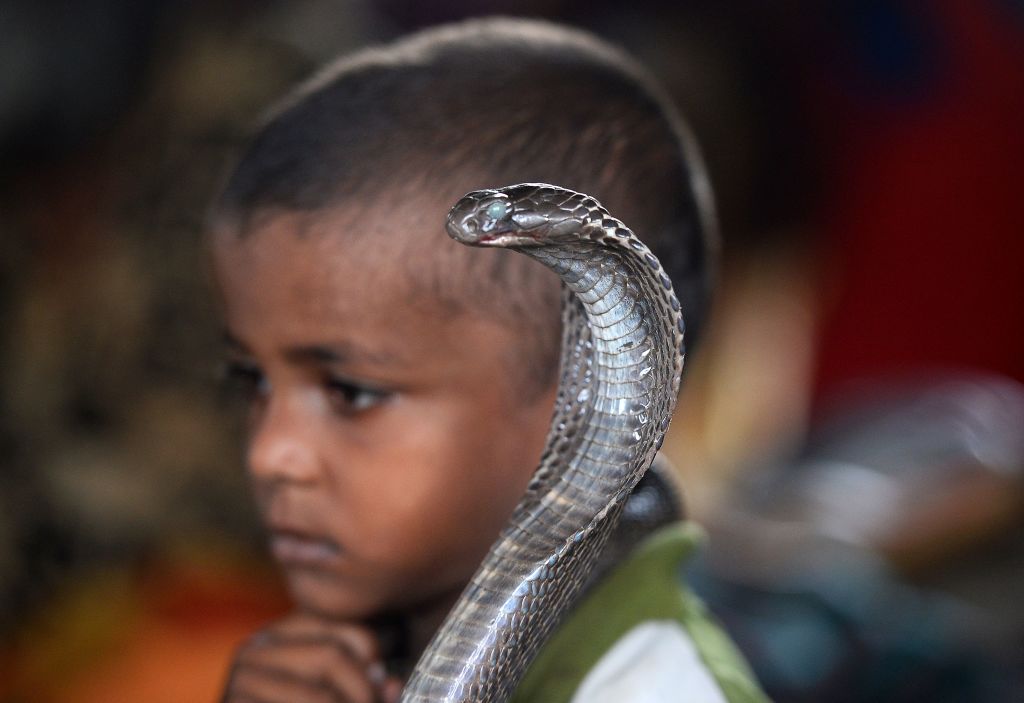 man-attending-a-funeral-of-his-brother-who-died-of-snake-bite-also