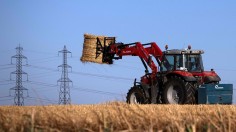 FRANCE-AGRICULTURE-FEATURE