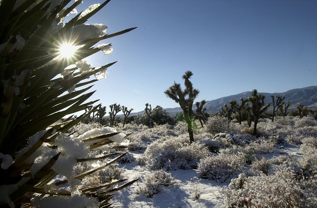 What exactly is a Cold Front? 