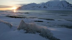 Arctic sea ice