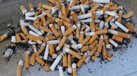 Cigarette butts