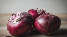 Thief Gets Cursed of Fleas for Stealing Onions, Internet Says It 