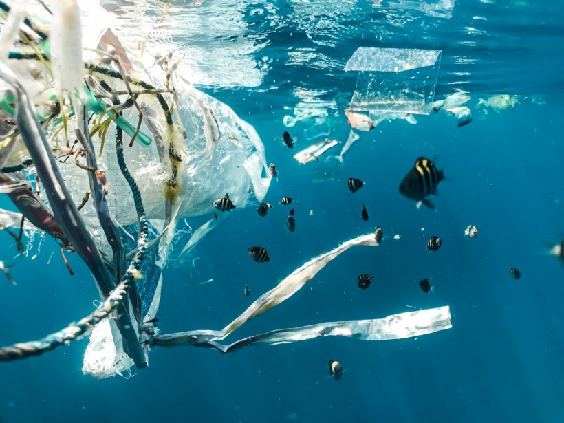 16-Year-Old Student Built a Robot that can Solve Plastic Pollution in the Pacific Ocean within a Year
