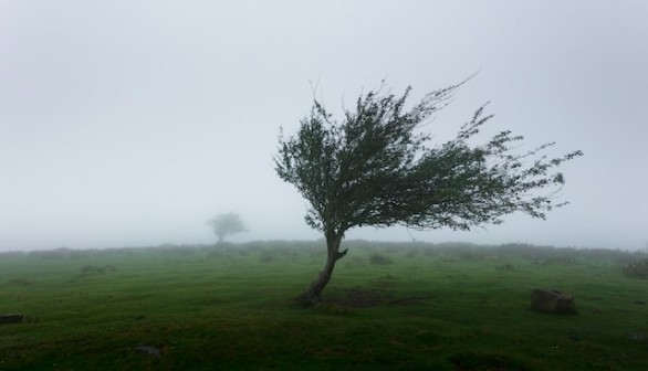 strong wind