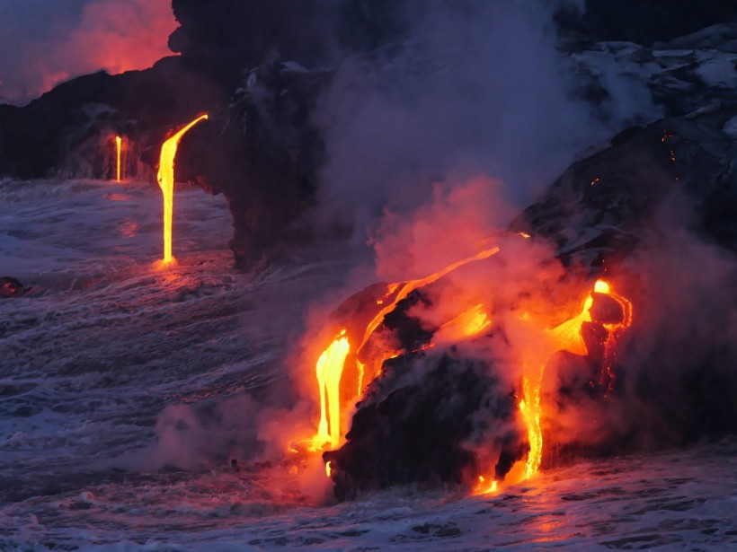 Wingless Lava Cricket Lives in Hawaii Active Volcanoes Kilauea, Mauna Loa