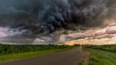 green grass under gray cloud