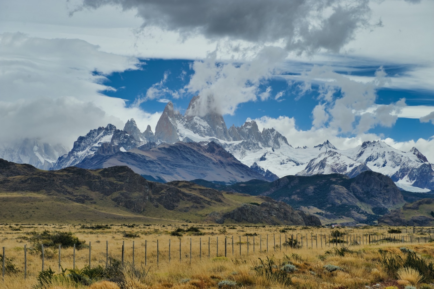 Rainy West Side of Andes Mountains Has Bigger Mice Compared to East Side, Study Says New Rule of Nature But Same DNA