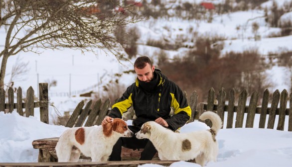 Reputable Dog Breeder