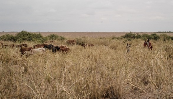 KENYA-ENVIRONMENT-TOURISM-AGRICULTURE-CLIMATE CHANGE