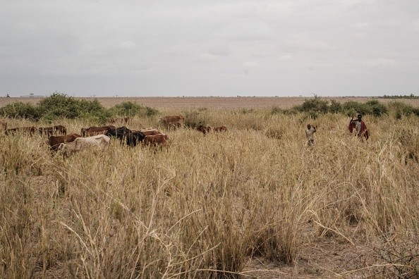 KENYA-ENVIRONMENT-TOURISM-AGRICULTURE-CLIMATE CHANGE