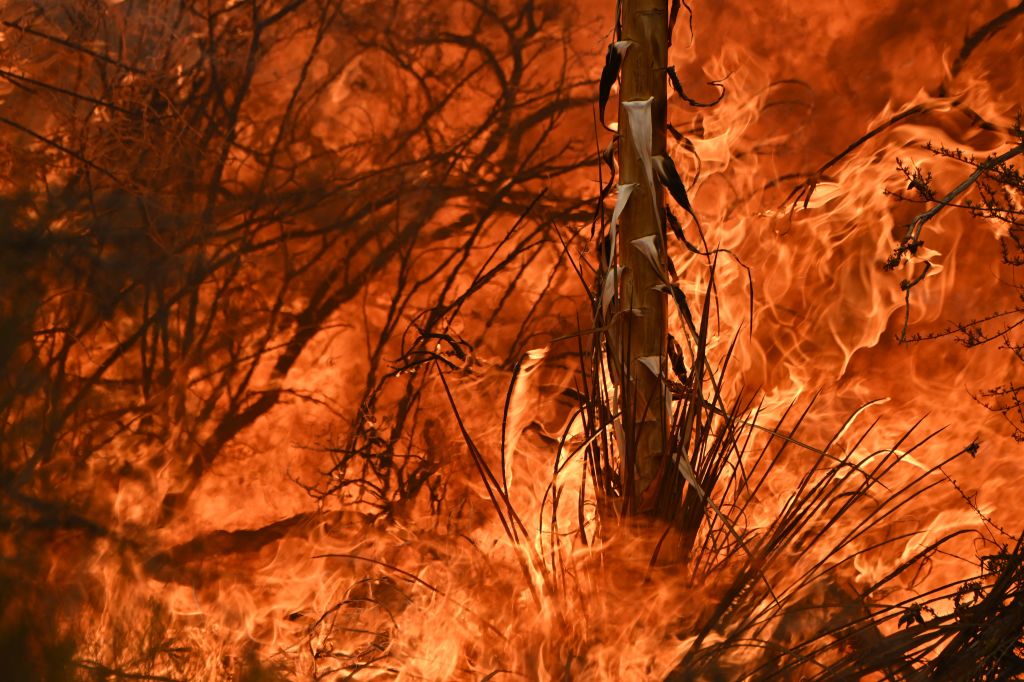 Mosquito Fire In California Burns Through Homes And Vehicles Over 11000 People Remain 2761