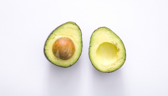 Perfect Avocado Growing Technique Discussed by Israeli Researchers