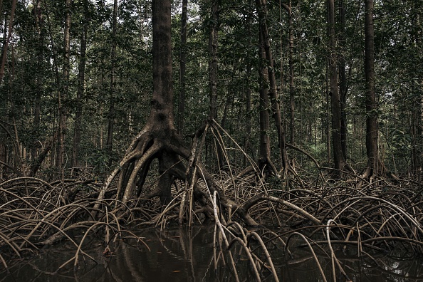 DRCONGO-RIOS-MEDIO AMBIENTE-PESQUERIAS