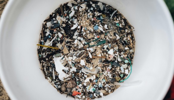 Microplastics Found in 75% of Fish Meant for Human Consumption: Is It Still Healthy to Eat Seafood?