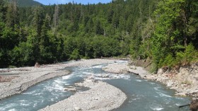 Elwha River