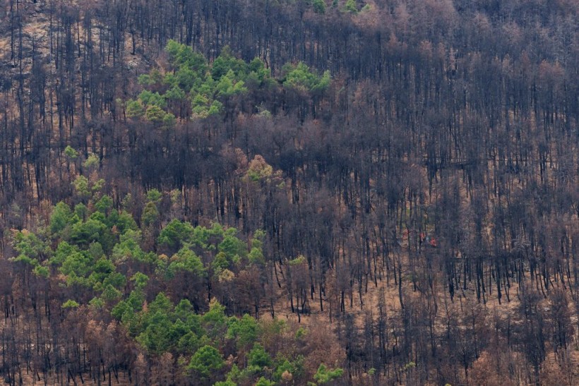 SPAIN-WILDFIRE-ENVIRONMENT-CLIMATE