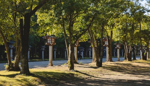 Green trees near medieval japanese street lanterns