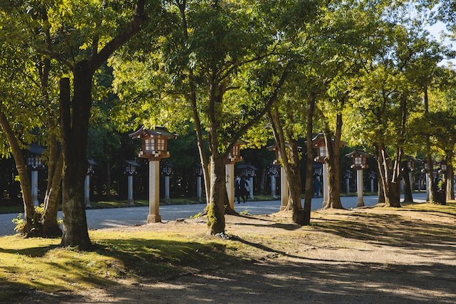 Green trees near medieval japanese street lanterns